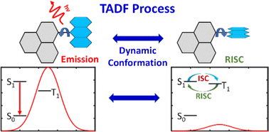 Graphical abstract: Interplay of molecular dynamics and radiative decay of a TADF emitter in a glass-forming liquid