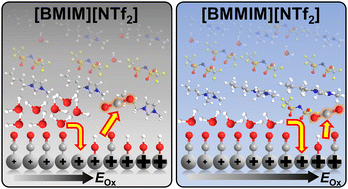 Graphical abstract: Influence of interfacial water and cations on the oxidation of CO at the platinum/ionic liquid interface