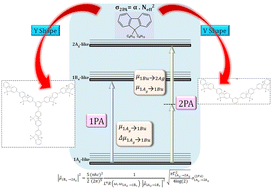 Graphical abstract: Unveiling the molecular structure and two-photon absorption properties relationship of branched oligofluorenes