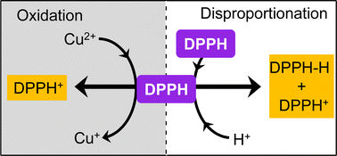 Graphical abstract: Probing the reactivity of 2,2-diphenyl-1-picrylhydrazyl (DPPH) with metal cations and acids in acetonitrile by electrochemistry and UV-Vis spectroscopy