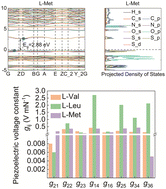 Graphical abstract: Identification of biomolecule-based electronic materials from a first-principles study of aliphatic amino acids