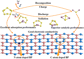 Graphical abstract: Investigation of the anchoring and electrocatalytic properties of pristine and doped borophosphene for Na–S batteries