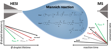 Graphical abstract: Complex reaction kinetics of a Mannich reaction in droplets under electrospray conditions