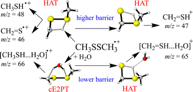Graphical abstract: Theoretical study on hydrogen transfer in the dissociation of dimethyl disulfide radical cations
