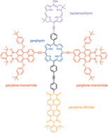 Graphical abstract: Investigation of a bacteriochlorin-containing pentad array for panchromatic light-harvesting and charge separation