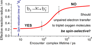 Graphical abstract: A spin statistical factor in electron transfer to oxygen molecules