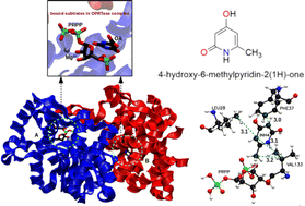 Graphical abstract: Enzyme–substrate interactions in orotate-mimetic OPRT inhibitor complexes: a QM/MM analysis