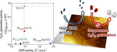 Graphical abstract: Enhanced electrochemical hydrogen oxidation reaction and suppressed hydrogen peroxide generation properties on Pt/Ir(111) bimetallic surfaces