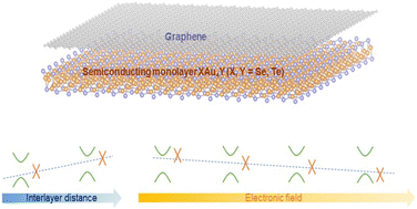 Graphical abstract: Tunable Schottky contacts in graphene/XAu4Y (X, Y = Se, Te) heterostructures