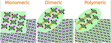 Graphical abstract: Ordering of monomers, dimers and polymers of deposited Br2I2Py molecules: a modeling study