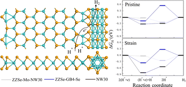 Graphical abstract: Effect of MoSe2 nanoribbons with NW30 edge reconstructions on the electronic and catalytic properties by strain engineering