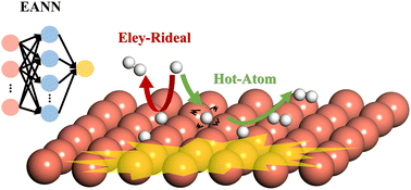 Graphical abstract: Investigating the Eley–Rideal recombination of hydrogen atoms on Cu (111) via a high-dimensional neural network potential energy surface