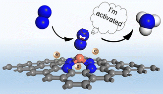 Graphical abstract: The important role of surface charge on a new mechanism of nitrogen reduction