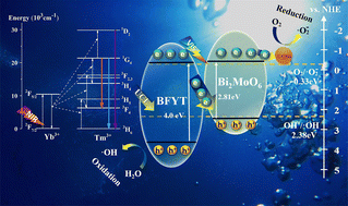 Graphical abstract: Synergistic effects of rare earth doping and carbon quantum dots on BiOF/Bi2MoO6 heterojunctions for enhanced visible-near-infrared photocatalysis
