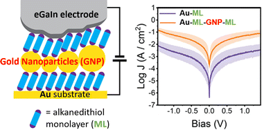 Graphical abstract: Enhanced charge transport across molecule–nanoparticle–molecule sandwiches