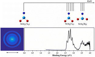 Graphical abstract: The additional nitrogen atom breaks the uranyl structure: a combined photoelectron spectroscopy and theoretical study of NUO2−