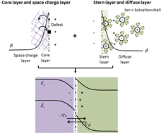 Graphical abstract: Charged species redistribution at electrochemical interfaces: a model system of the zirconium oxide/water interface