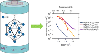 Graphical abstract: Divalent closo-monocarborane solvates for solid-state ionic conductors