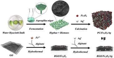 Graphical abstract: Fungi-enabled pore channel regulation and defect engineering of a novel micro-reactor for treating complex effluents