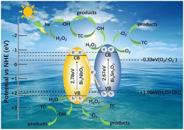 Graphical abstract: Enhanced photocatalytic degradation of tetracycline by a H2O2-assisted Bi3NbO7/Bi2Sn2O7 composite under visible light