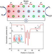 Graphical abstract: Understanding the piezocatalytic properties of the BaTiO3(001) surface via density functional theory