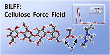 Graphical abstract: A force field for bio-polymers in ionic liquids (BILFF) – part 2: cellulose in [EMIm][OAc]/water mixtures