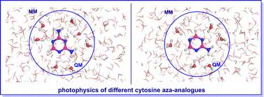 Graphical abstract: Quantum mechanics/molecular mechanics studies on mechanistic photophysics of cytosine aza-analogues: 2,4-diamino-1,3,5-triazine and 2-amino-1,3,5-triazine in aqueous solution
