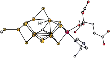 Graphical abstract: Can the E1 state in nitrogenase tell if there is an activation process prior to catalysis?