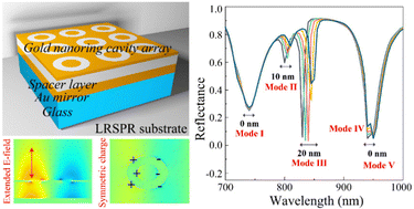 Graphical abstract: High-sensitivity long-range surface plasmon resonance sensing assisted by gold nanoring cavity arrays and nanocavity coupling