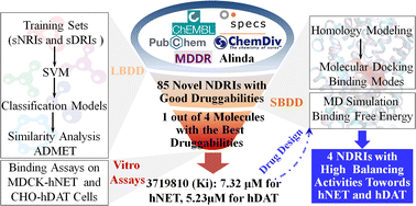 Graphical abstract: A multiple-step screening protocol to identify norepinephrine and dopamine reuptake inhibitors for depression