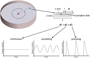 Graphical abstract: New types of complex motion of a simple camphor boat