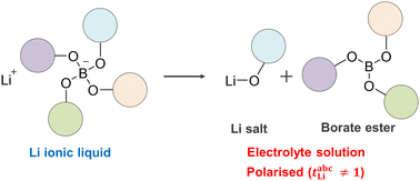 Graphical abstract: On the concentration polarisation in molten Li salts and borate-based Li ionic liquids