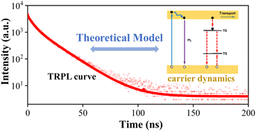 Graphical abstract: A study on theoretical models for investigating time-resolved photoluminescence in halide perovskites