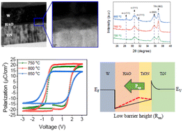 Graphical abstract: Impact of annealing temperature on the remanent polarization and tunneling electro-resistance of ferroelectric Al-doped HfOx tunnel junction memory