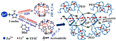 Graphical abstract: On enhancing the Li-ion conductivity of quasi-solid-state electrolytes by suppressing the flexibility of zeolitic imidazolate framework-8 via a mixed ligand strategy