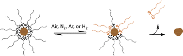 Graphical abstract: The fate of organic species upon sintering of thiol-stabilised gold nanoparticles under different atmospheric conditions