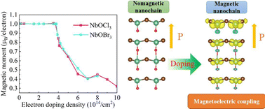 Graphical abstract: Doping-induced magnetism and magnetoelectric coupling in one-dimensional NbOCl3 and NbOBr3