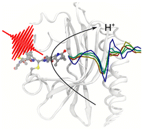 Graphical abstract: The molecular mechanism of light-induced bond formation and breakage in the cyanobacteriochrome TePixJ