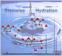 Graphical abstract: Stepwise hydrations of anhydride tuned by hydrogen bonds: rotational study on maleic anhydride-(H2O)1–3