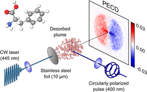 Graphical abstract: Velocity-map imaging of photoelectron circular dichroism in non-volatile molecules using a laser-based desorption source