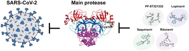 Graphical abstract: Binding kinetics study of SARS-CoV-2 main protease and potential inhibitors via molecular dynamics simulations