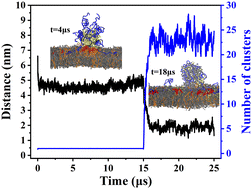 Graphical abstract: Delivery mechanism of doxorubicin by PEG–DPPE micelles on membrane invasion by dynamic simulations