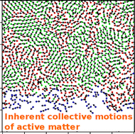 Graphical abstract: The coherent motions of thermal active Brownian particles