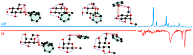 Graphical abstract: Exploring the interaction sites in glucose and galactose using phenol as a probe