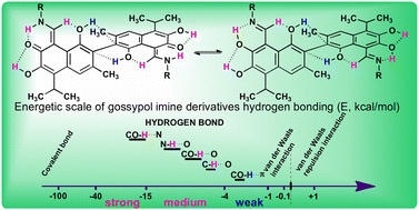 Graphical abstract: Intramolecular hydrogen bonds of gossypol imine derivatives