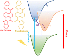 Graphical abstract: Probing the excited state dynamics in perinone molecules for photovoltaic applications using transient absorption spectroscopy