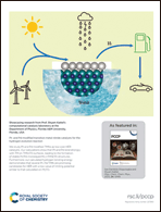 Graphical abstract: Back cover