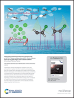 Graphical abstract: Back cover