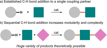 Graphical abstract: C–H bond activation and sequential addition to two different coupling partners: a versatile approach to molecular complexity