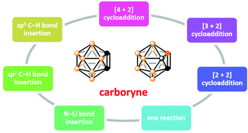 Graphical abstract: Functionalization of o-carboranes via carboryne intermediates